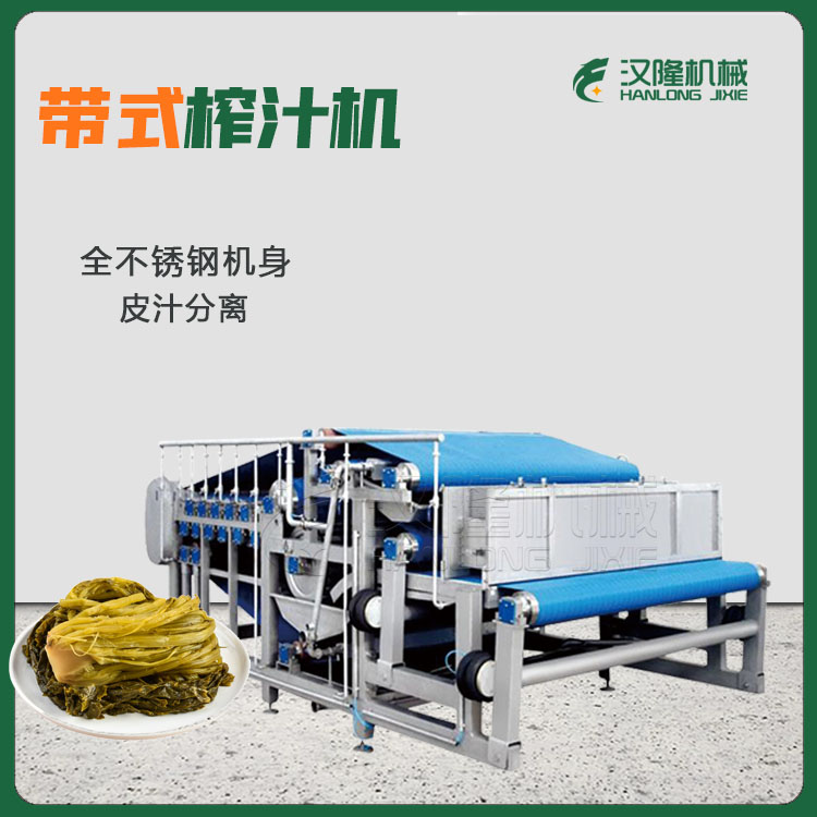 專(zhuān)業(yè)帶式果蔬壓濾設(shè)備 快速榨汁 商用型專(zhuān)業(yè)壓濾機(jī)