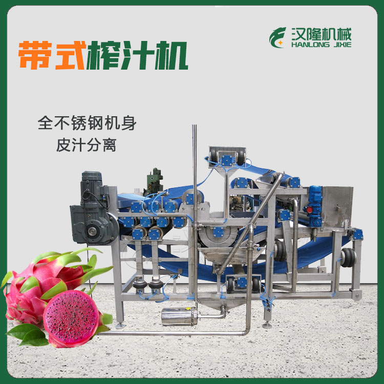 全自動(dòng)火龍果榨汁機(jī) 大型工業(yè)不銹鋼榨汁機(jī) 多功能可定制榨汁機(jī)