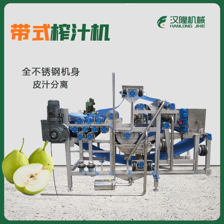 多功能梨汁榨汁機(jī) DYJ型全自動(dòng)大型工業(yè)不銹鋼水果榨汁機(jī) 可定制