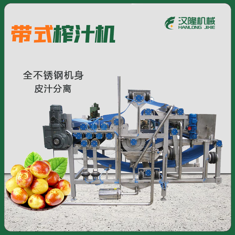 多種水果榨汁機(jī) 全自動(dòng)大型工業(yè)果蔬榨汁機(jī) 可定制不銹鋼水果榨汁機(jī)