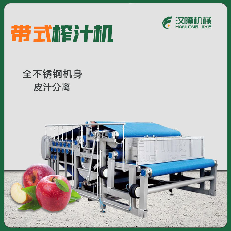 帶式果蔬榨汁機(jī) 全自動(dòng)DYJ型榨汁機(jī) 大型工業(yè)不銹鋼榨汁機(jī)