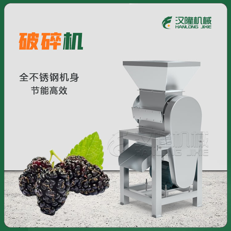 桑葚商用破碎機(jī) 大型工業(yè)不銹鋼粉碎破碎設(shè)備